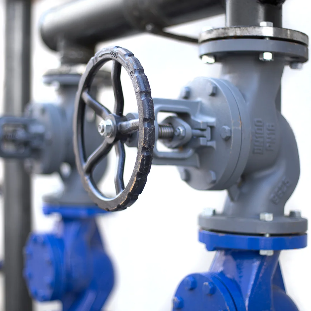 valves india