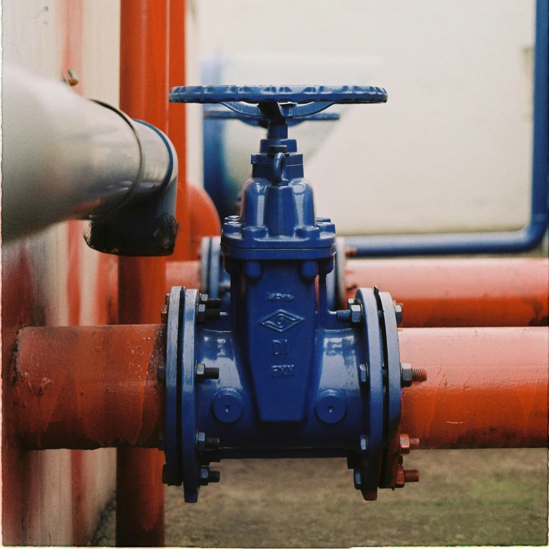 valves india